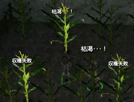 枯渇・・・！