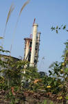 200810-09.jpg