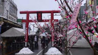 2009.02.14.jpg