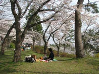 2008.04.20.jpg
