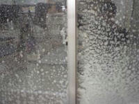 2009.02.16.jpg