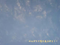 2009.02.28.JPG