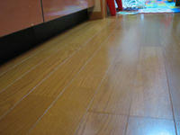 2009.03.08.3.JPG
