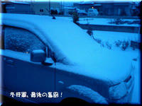 2009.03.12.1.JPG