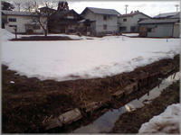 2009.03.15.1.JPG