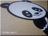 2009.03.23.JPG