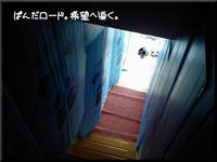 2009.03.27.JPG