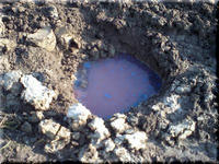 2009.04.28.2.JPG
