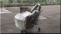 2009.05.03.2.jpg