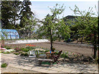 2009.05.06.1.jpg