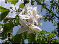 2009.05.06.2.jpg