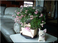 2009.05.10.4.JPG