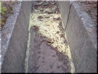 2009.05.13.JPG