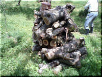 2009.05.30.5.JPG