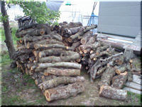 2009.05.30.11.JPG
