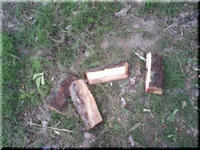 2009.05.30.12.JPG