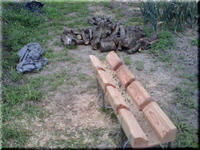 2009.07.12.4.JPG