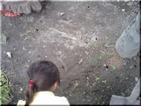 2009.08.01.2.JPG