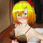 20120305007.jpg