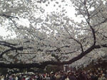 080330_111417.jpg
