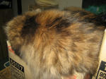 IMG_0881.JPG