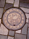 48087272.jpg