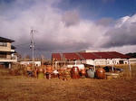 1f6ed09c.jpg