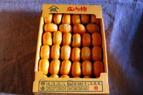 甘～い庄内柿 種無し 秀品10kg 産地直送(生産者)