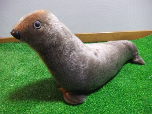 アザラシの皮で出来たアザラシ