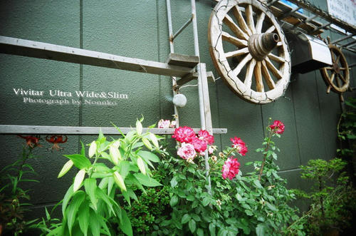 image7.jpg