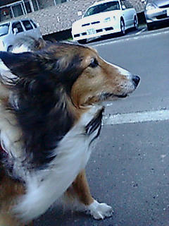 2005.6fana.jpg
