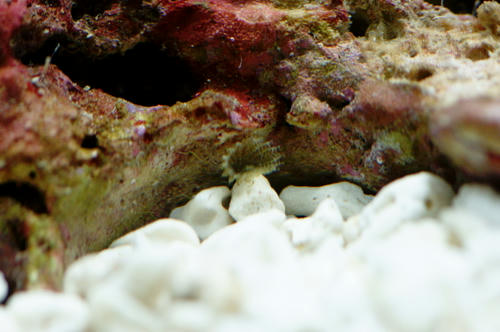 DSC01081-s.jpg
