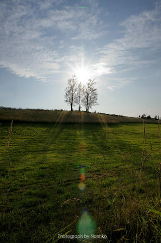 image34.jpg