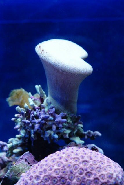 image46.jpg