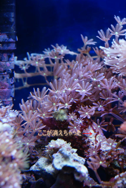 2c8f06a6.jpeg