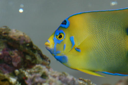 f69276b1.jpg