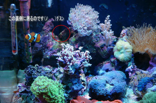 211cd35e.jpg