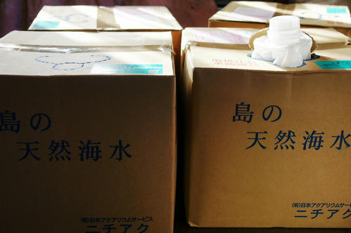 2cb5042d.jpg