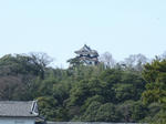 彦根城