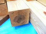 P1040004mini.jpg