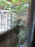 CA3A0686.JPG