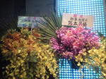 CA3A0790.JPG