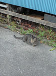 CA3A0825.JPG