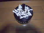 DSCN0399.jpg