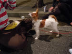 DSCN0944.jpg