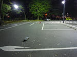 DSCN1168.jpg