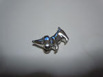 DSCN1313.jpg