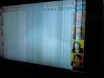 DSCN1599.jpg