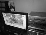 DSCN1620.jpg