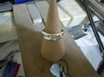 DSCN06.jpg